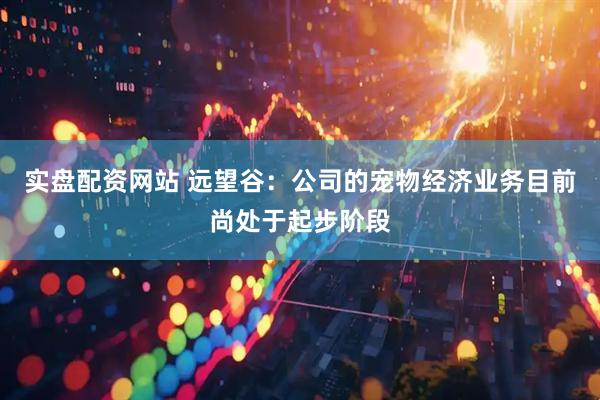 实盘配资网站 远望谷:公司的宠物经济业务目前尚处于起步阶段