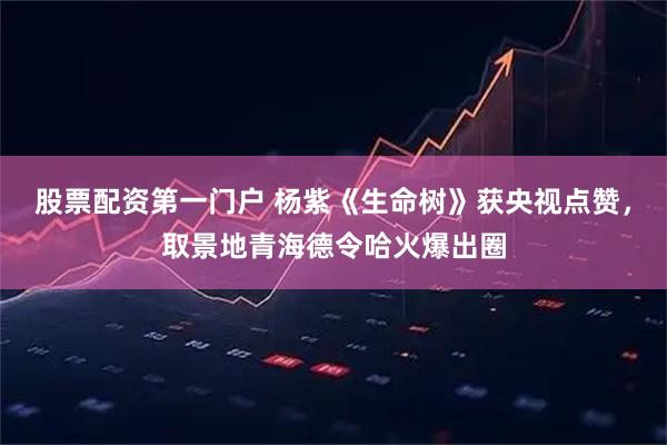 股票配资第一门户 杨紫《生命树》获央视点赞，取景地青海德令哈火爆出圈