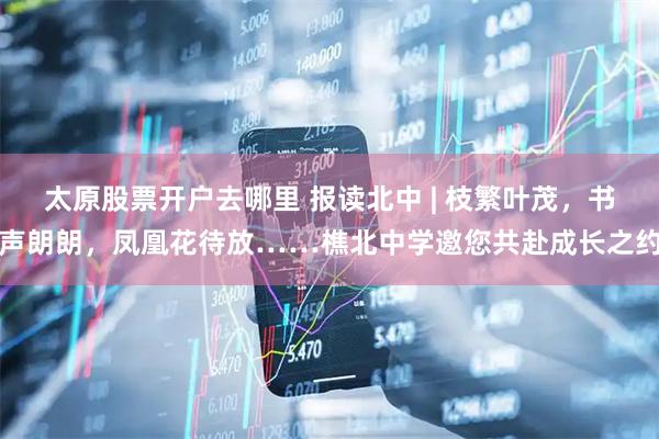 太原股票开户去哪里 报读北中 | 枝繁叶茂,书声朗朗,凤凰花待放……樵北中学邀您共赴成长之约